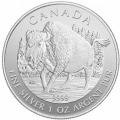 Canada bison 2013