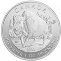 Canada bison 2013