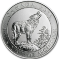 Canada loup gris 2015