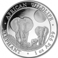 Somalie elephant 2014