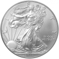 Usa silver eagle 2013